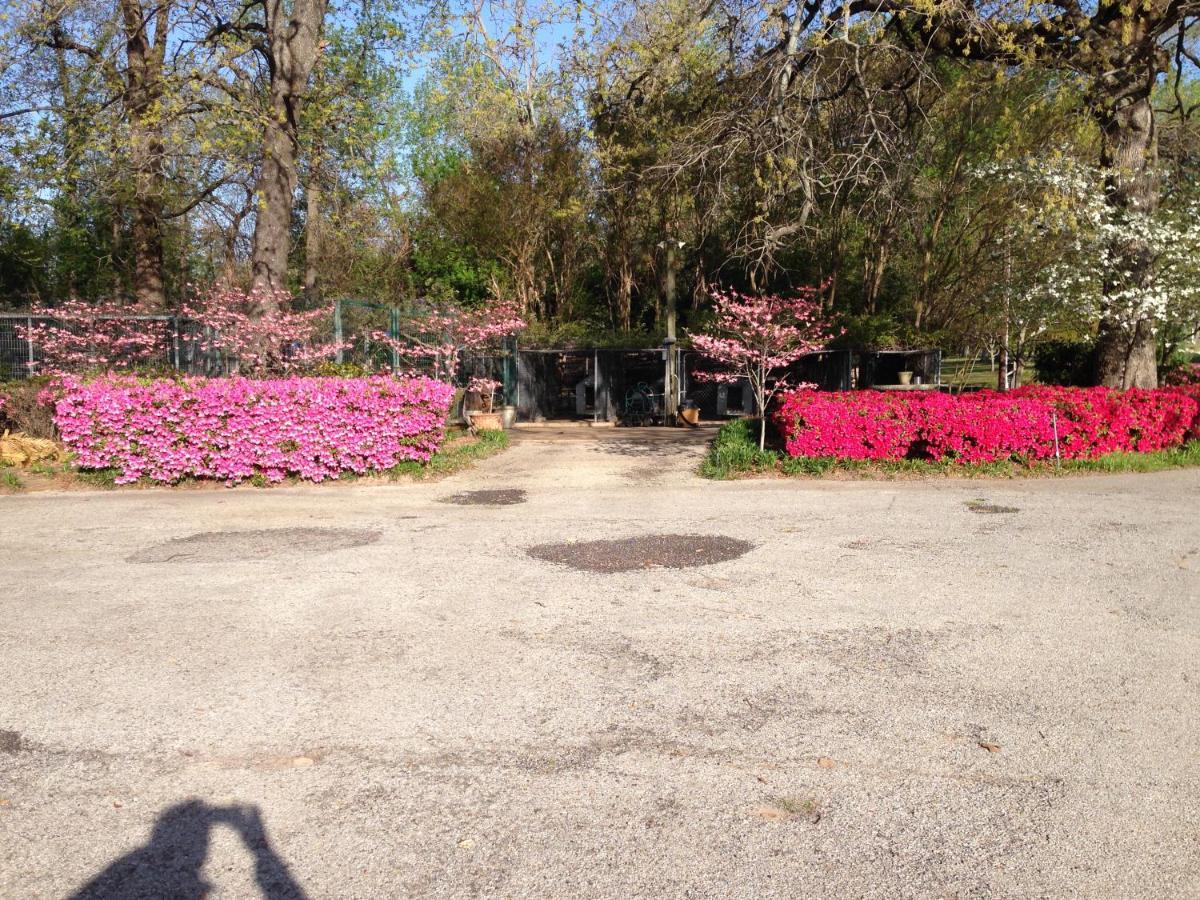 Dogwood Springs Lodgings Mineola 외부 사진