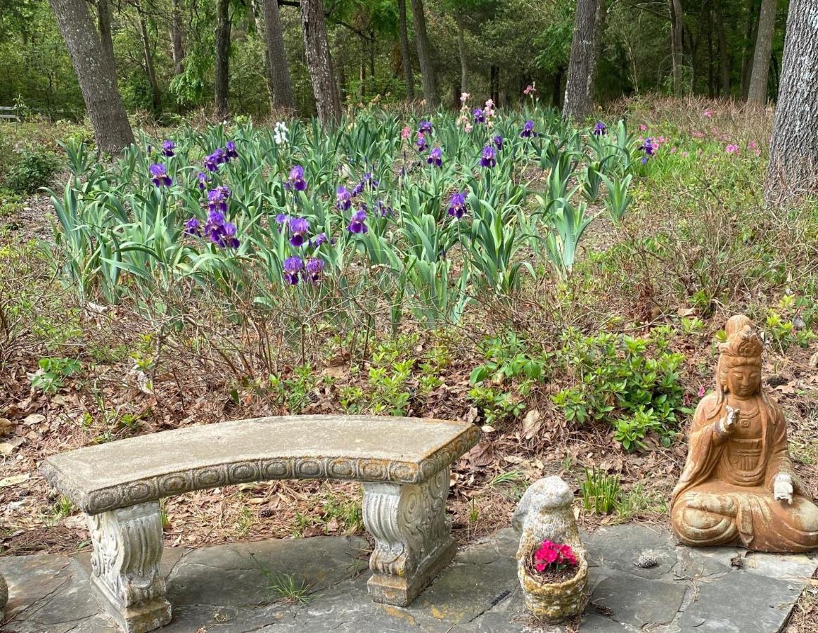 Dogwood Springs Lodgings Mineola 외부 사진