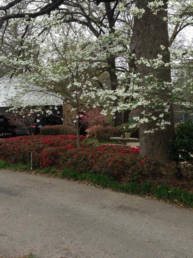 Dogwood Springs Lodgings Mineola 외부 사진