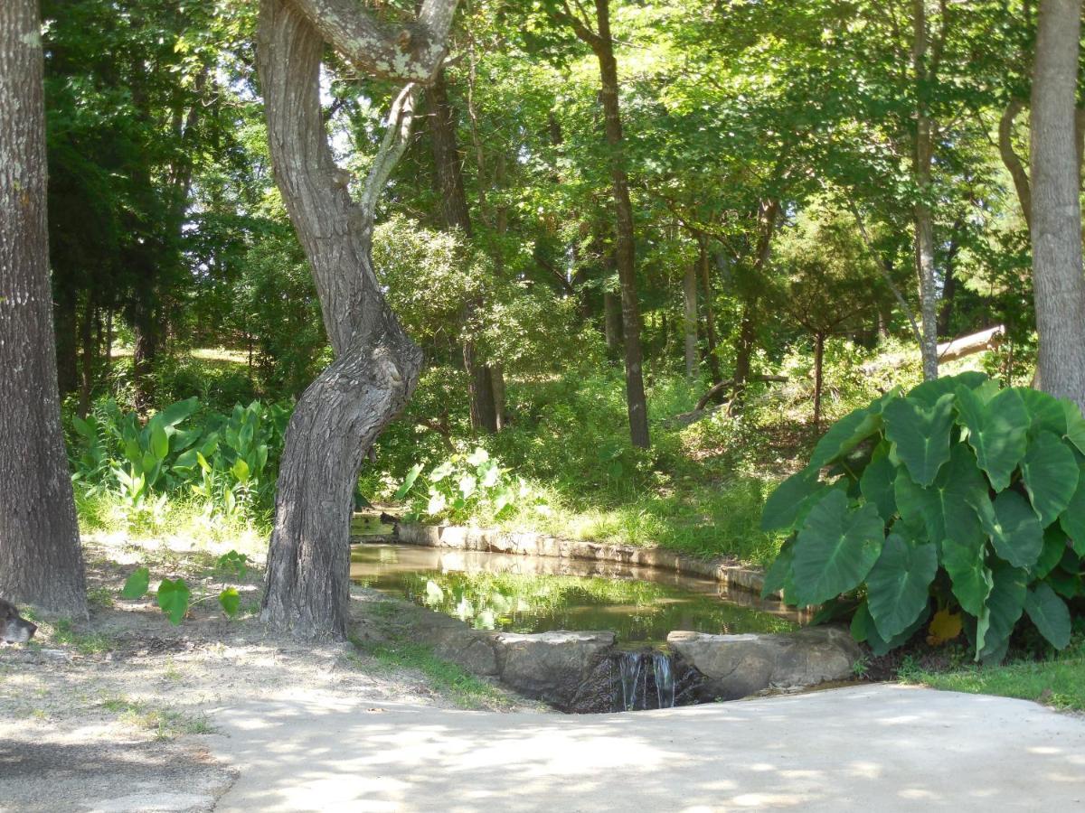 Dogwood Springs Lodgings Mineola 외부 사진