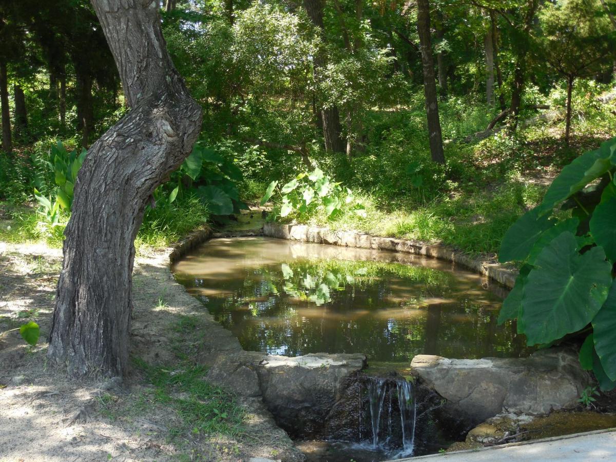 Dogwood Springs Lodgings Mineola 외부 사진