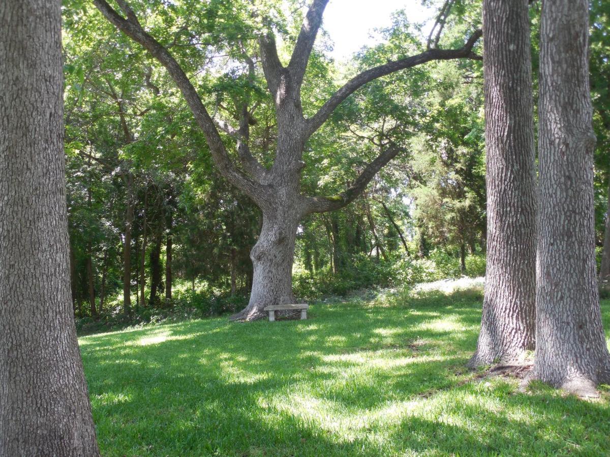 Dogwood Springs Lodgings Mineola 외부 사진