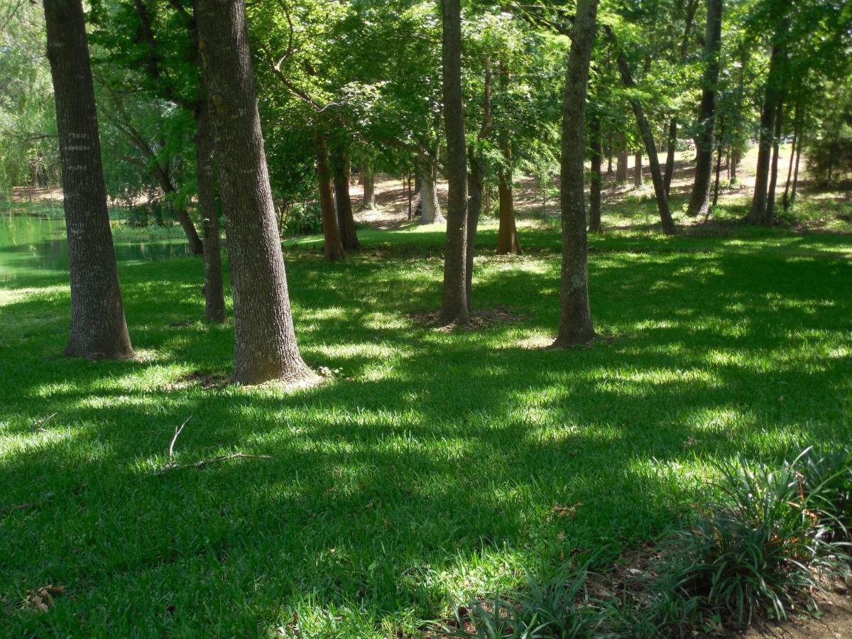 Dogwood Springs Lodgings Mineola 외부 사진